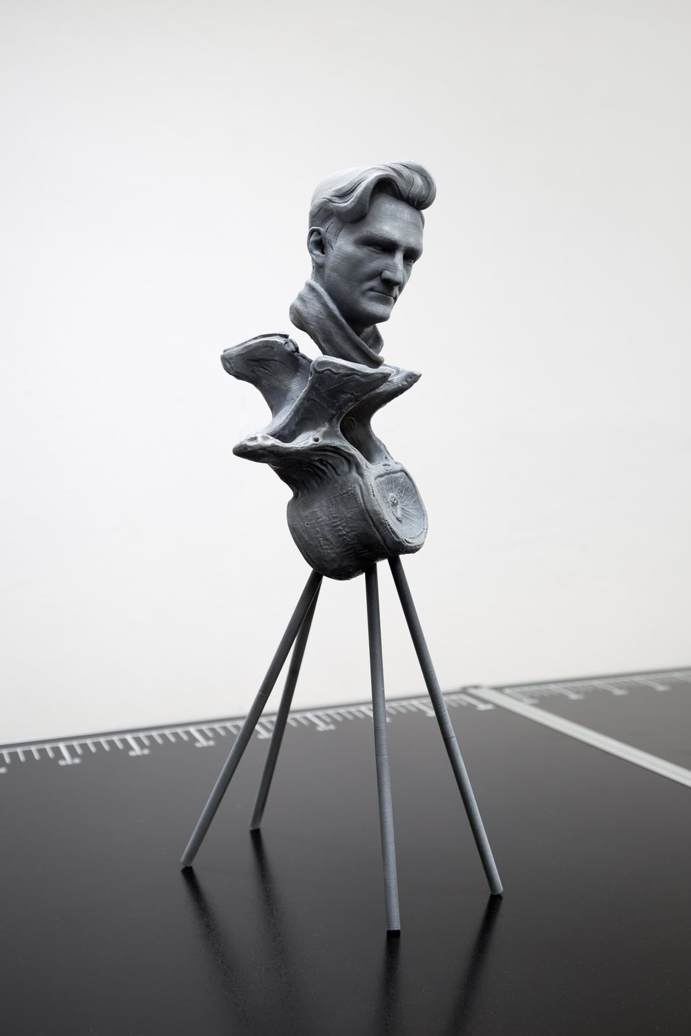 The Wrong Club — Matthias Danberg, O.T.: 3D-printed bust on vertebra legs